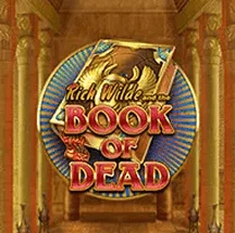 Book of Dead en 20Bet Argentina